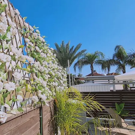 Villa Casa Palmera